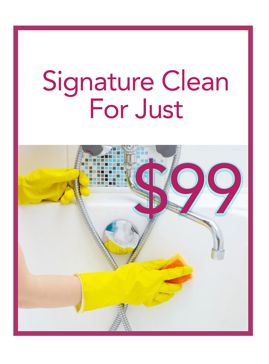 99_dollar_clean_house